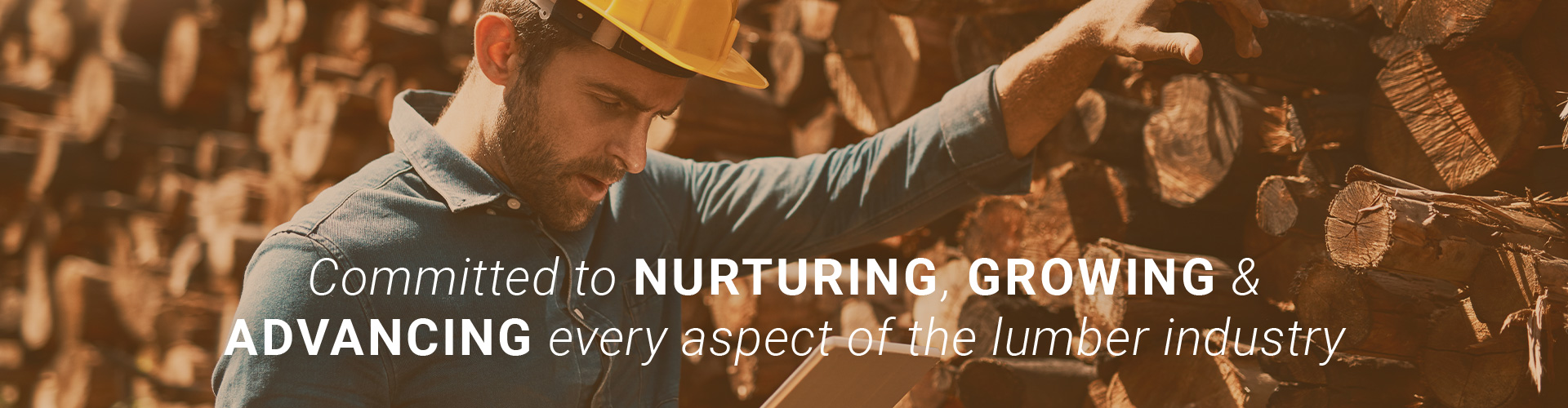 Nurturing, Growing & Advancing