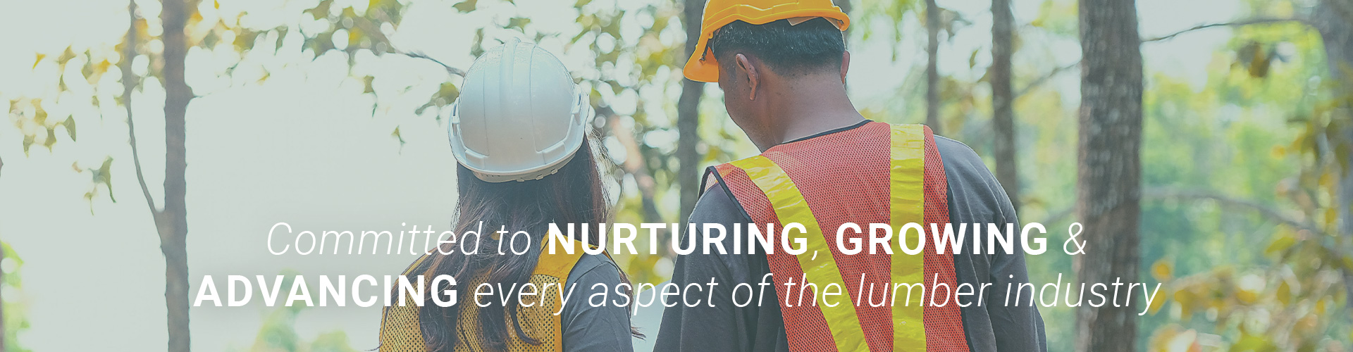 Nurturing, Growing & Advancing