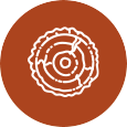Wood Basics